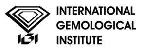 IGI-Logo.png